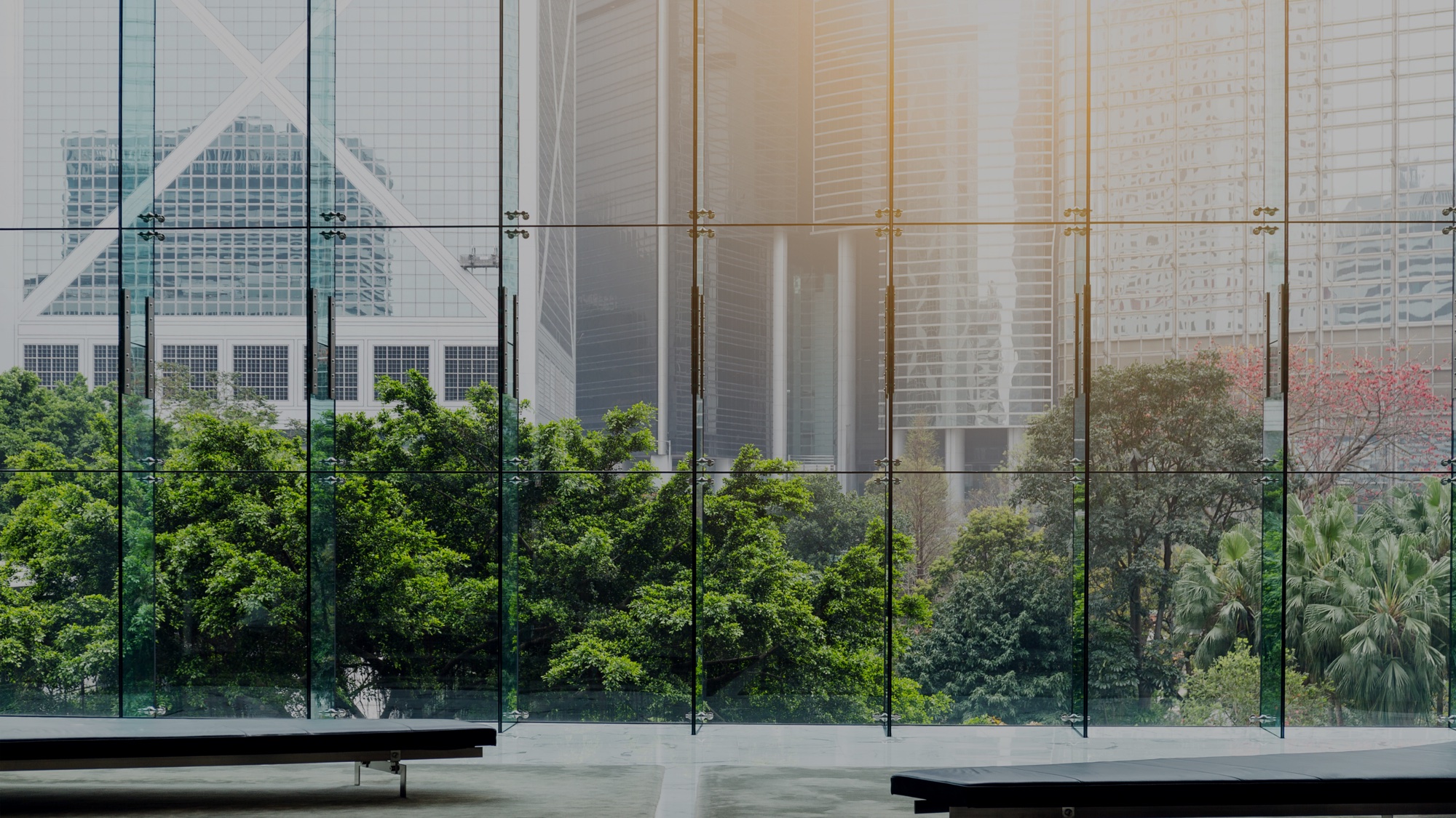 Daylight and greenery beyond a spacious glass atrium